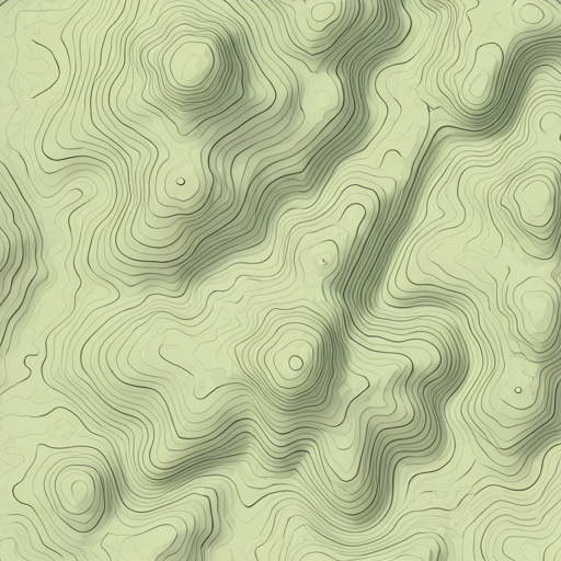 Topographic map